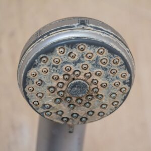build up on shower head