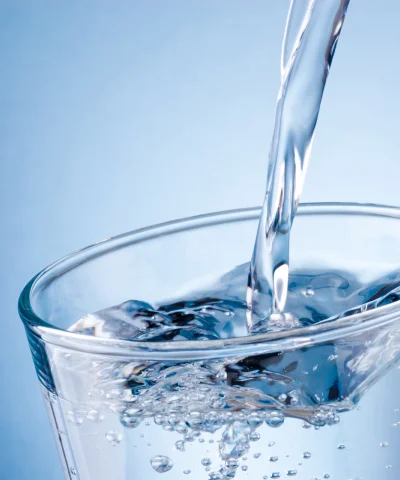 Alkaline Water Filters - Paragon Water - Best Water Softener System