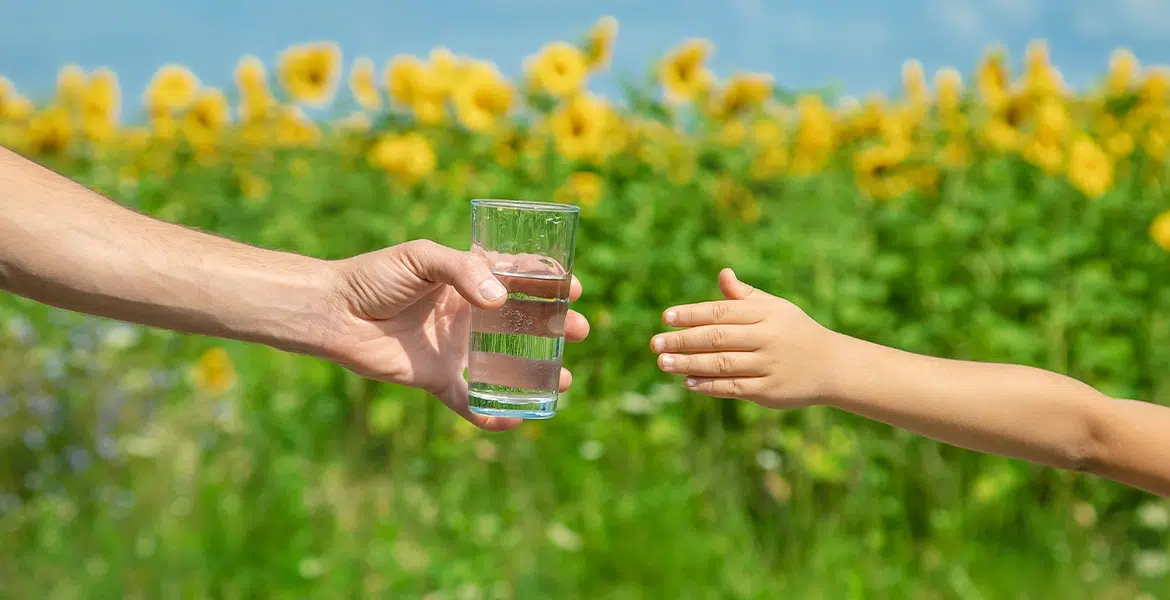 How a Whole House Water Filter System Protects Against Seasonal Allergies - Paragon Water - Best Water Softener System